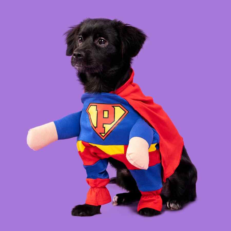 Disfraz Super Dog, , large image number null